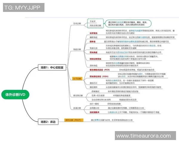 武汉足球队与重庆足球队赛后技术分析与战术复盘探讨