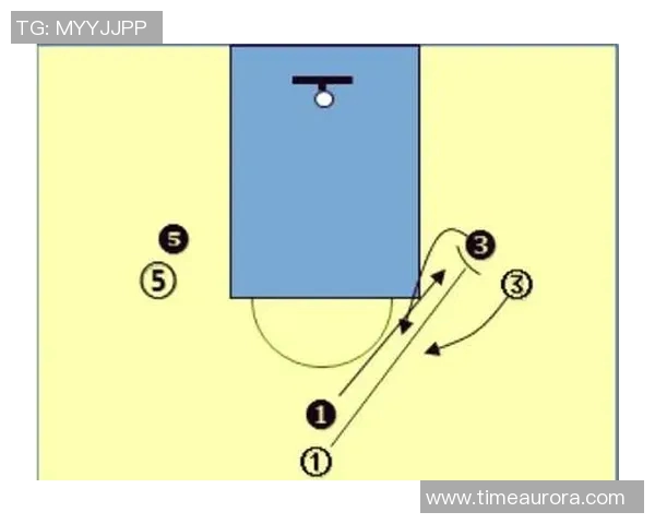 南京篮球队战术解析：构建高效控制体系的策略与实践探讨