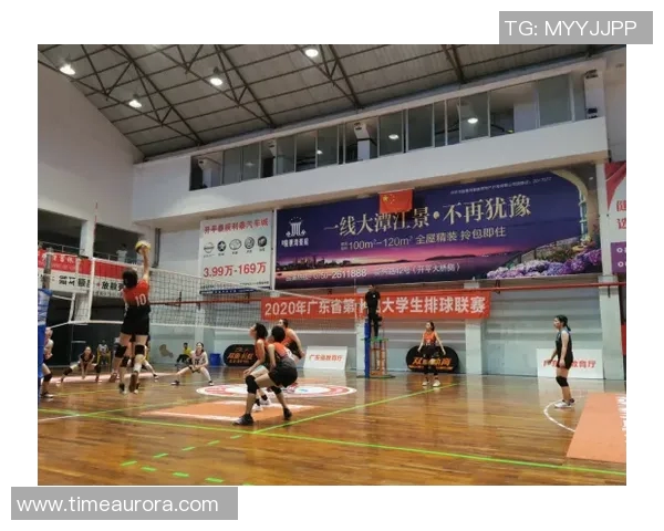 广州排球队运营策略深度分析与发展前景探讨