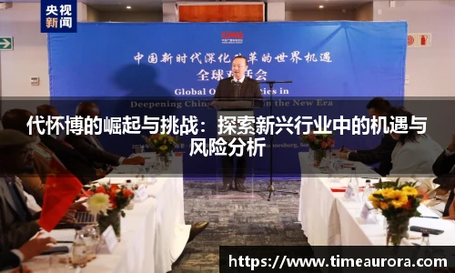 代怀博的崛起与挑战：探索新兴行业中的机遇与风险分析