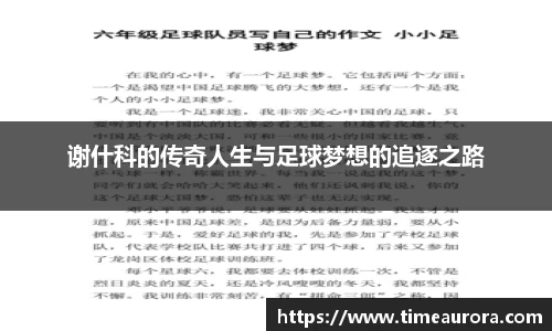  芒果体育登录注册