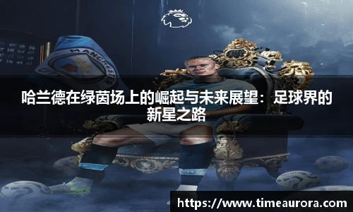 芒果体育官方网站